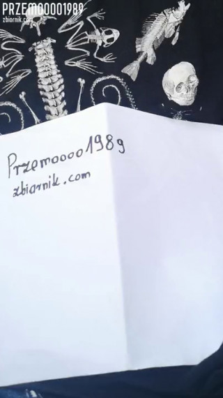Przemoooo1989