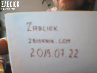 zabciok