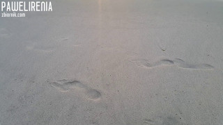 PaweliRenia