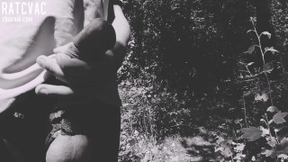 InShot_20190731_135034624.mp4