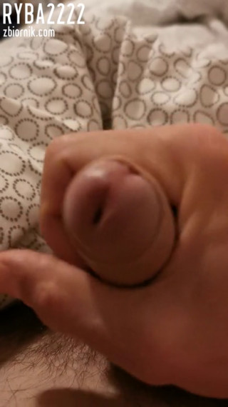 Ryba2222