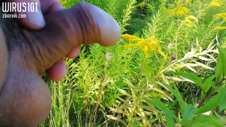 VID_20190825_162234.mp4