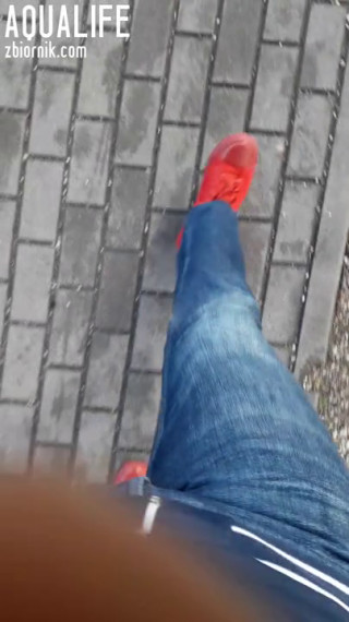 20190917_093832.mp4