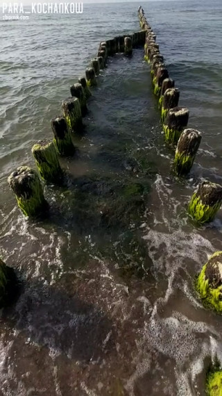 20190829_165006.mp4