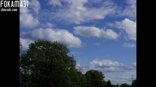 201909291713.mp4