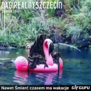 NagiRealnySzczecin