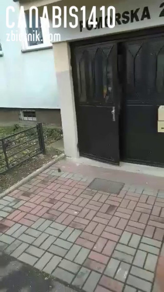 received_786150978518446.mp4