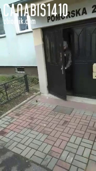 received_786150978518446.mp4