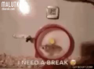 VID-20200122-WA0001.mp4