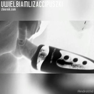 VID_20200122_000113_00.mp4
