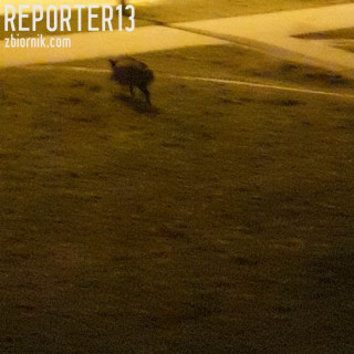 20200319_195044.mp4