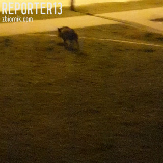 20200319_195044.mp4
