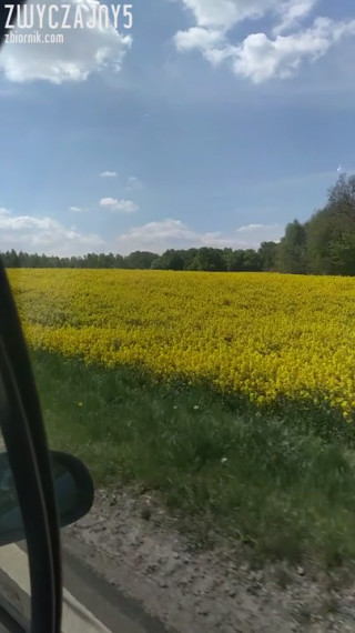 VID_20200509_114159.mp4