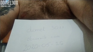 domel3011