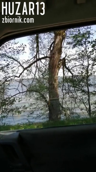 VID_20200602_205602.mp4