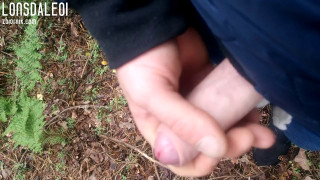 MOV_4667.mp4