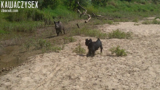 Atrakcją dzisiejszego dnia na plaży