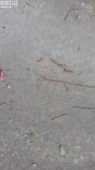 20200827_120911_001.mp4