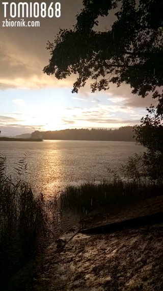 VID_20200831_185617.mp4