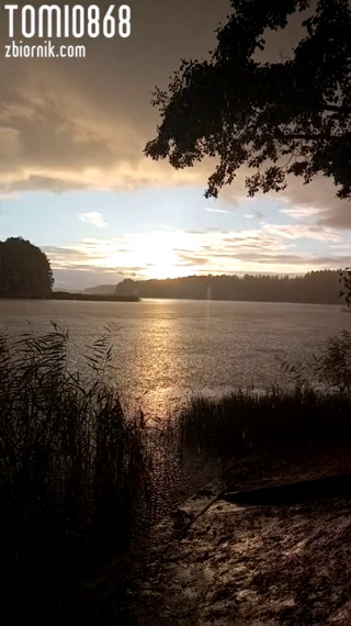 VID_20200831_185617.mp4