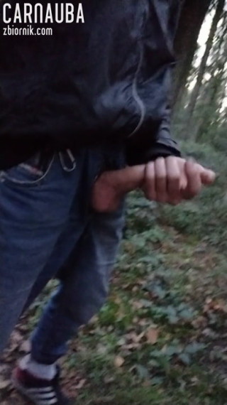 VID_20201003_183030.mp4