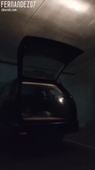Fernandez07