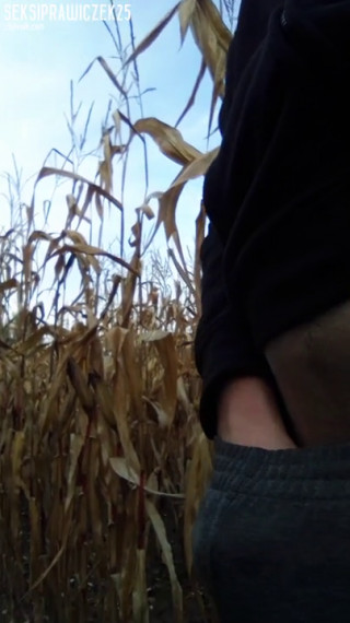 VID_20201028_144823.mp4