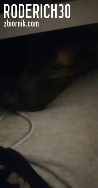 received_675656363385836.mp4
