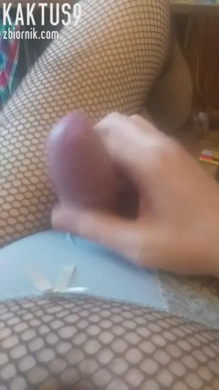 kaktus9