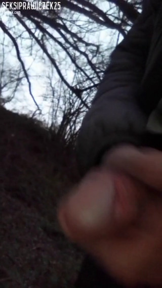 VID_20201208_153910.mp4