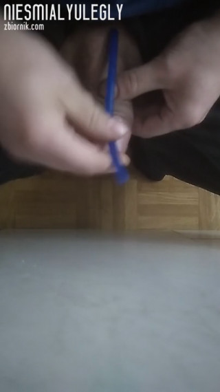 Niesmialyulegly