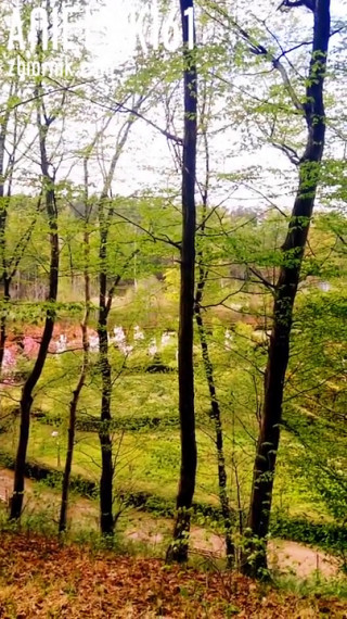 🏞️