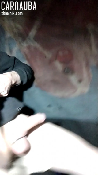 VID_20210204_232356.mp4