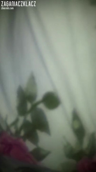 ZaganiaczKlacz