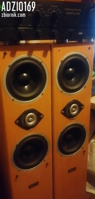 Adzio169