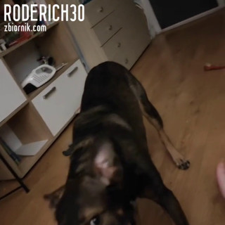VID_420770406_074401_561.mp4