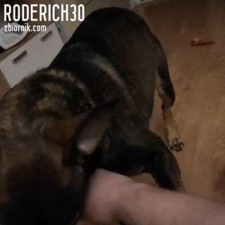 VID_420770406_074401_561.mp4