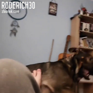 Roderich30