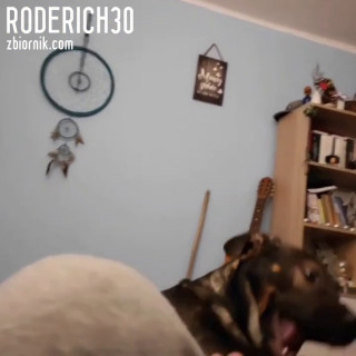 VID_420780101_040511_865.mp4