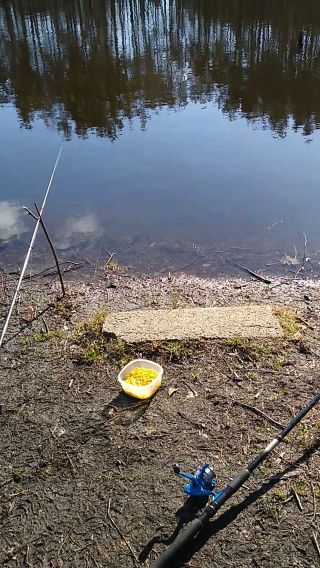 VID_20210323_141712055.mp4