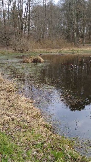 VID_20210326_144600281.mp4