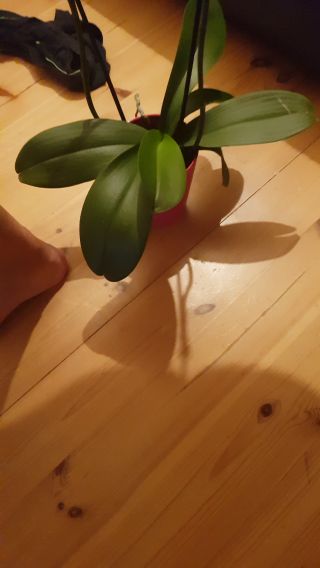 20210509_161746_1.mp4