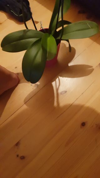 20210509_161746_1.mp4
