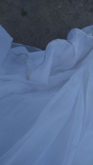 20210521_133851.mp4