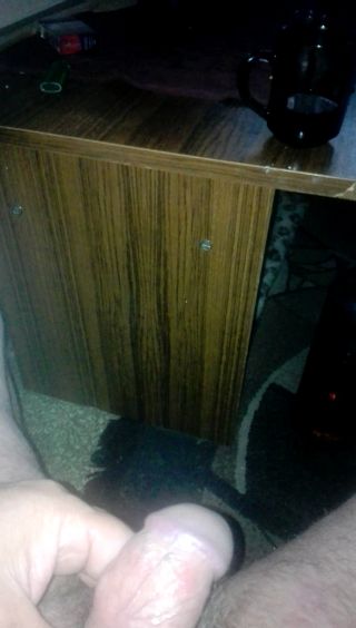 VID_20210624_044554.mp4