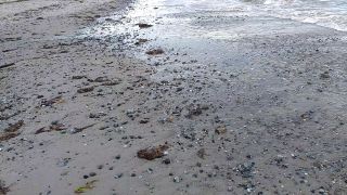 VID_20190625_175844067.mp4