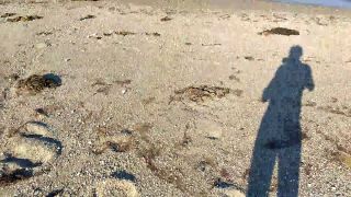 VID_20190616_184343567.mp4