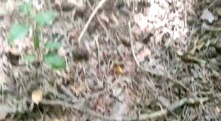 VID-20210706-WA0010.mp4