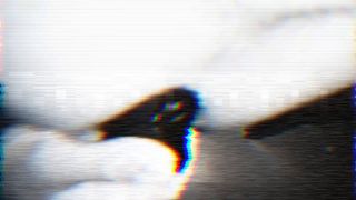 YouCut_20210720_091852909.mp4