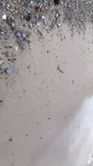 VID_20190524_192119958.mp4